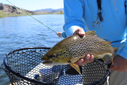 Exciting fishing adventure in NY
