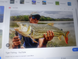 A person fishing in the water in New York