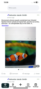 Catching a glimpse of vibrant tropical fish in their natural habitat.