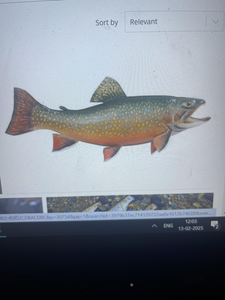 Catching some colorful critters in the deep blue.