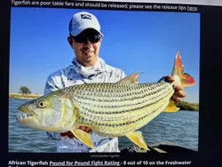 Angler fishing in Florida