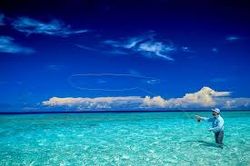 Scenic landscape with FL location