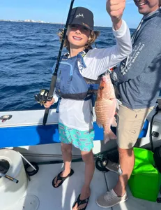 Grey Snapper fishing in New York State
