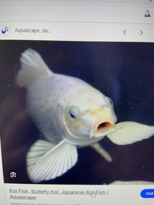 Just keep swimming, my friend.