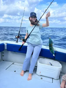 A Mexican Mojarra fish caught in New York State