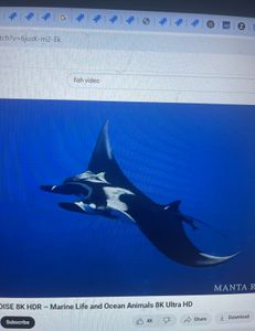 Shalimar outdoor adventure activities