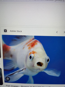 Splashing around in the blue waters.