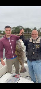 A single black drum fish caught in FL during a fishing tour