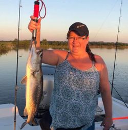 Spotted Weakfish caught in FL