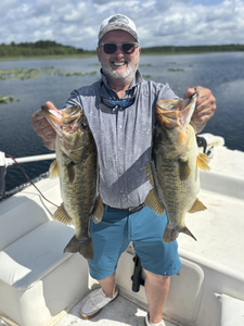 Double trouble: Largemouth Bass duo hooked on a partly cloudy day in Steinhatchee!