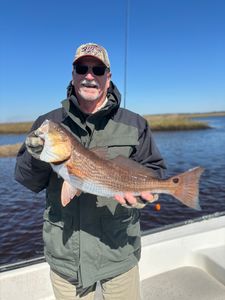 Redfish in FL