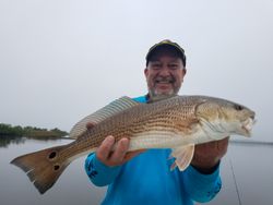 Redfish caught in Steinhatchee, Florida
