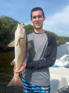 Redfish caught in Steinhatchee, Florida