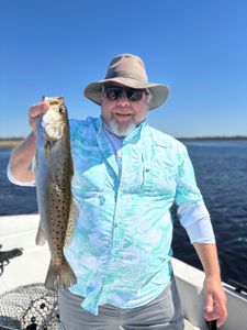 Spotted Weakfish, 354 inches, fishing in FL