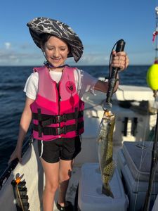 Spotted weakfish caught in FL