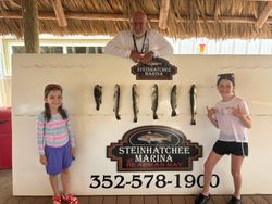 A group of 6 spotted weakfish and sea bass caught while fishing in Steinhatchee, Florida