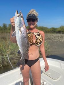 Spotted Weakfish, a 26-inch fish, caught in Steinhatchee, Florida