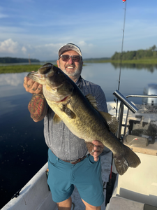 Rainy day, perfect for Smallmouth action in Steinhatchee!