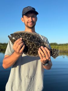 Summer Flounder caught in Steinhatchee, fishing tours