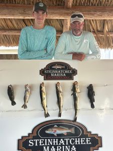 7 fish caught on fishing tour in FL