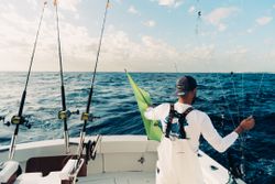 Angler fishing in Palm Beach Gardens