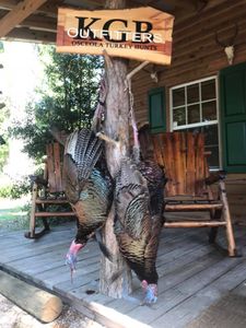 Hunting adventure in FL