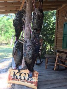 Best great hunting adventure in FL