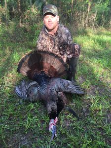 Lone hunter in FL