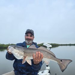 New Smyrna, big fish! 