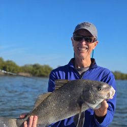 Bait, cast, catch! 