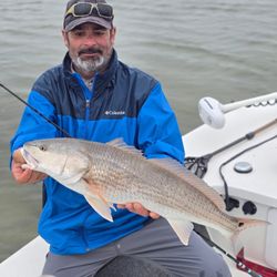 Where the big fish roam! 