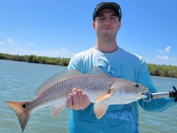 Redfish in Mosquito Lagoon, New Smyrna Beach, FL