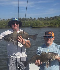 Two anglers fishing with their rods in FL