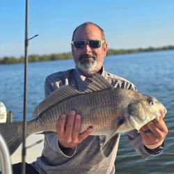 Black Drum fish caught fishing in New Smyrna Beach