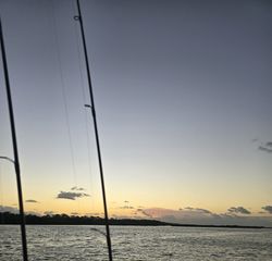 A fishing trip in FL