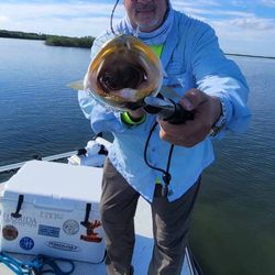 New Smyrna Beach fishing scene