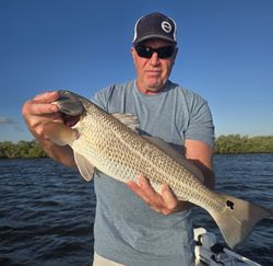 Redfish caught in FL