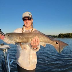 Redfish caught in New Smyrna Beach