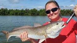 Redfish caught in New Smyrna Beach, Florida