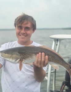 Redfish caught in New Smyrna Beach, Florida