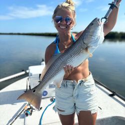 Redfish caught at New Smyrna Beach