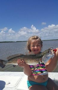 A fisherman catches a spotted weakfish in Florida