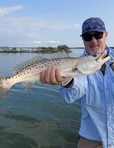 Spotted Weakfish, 22 inches, caught while fishing in New Smyrna Beach