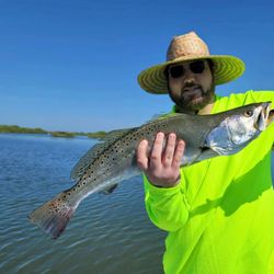 One spotted weakfish caught at New Smyrna Beach