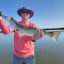 A lone angler fishing in FL with a big catch