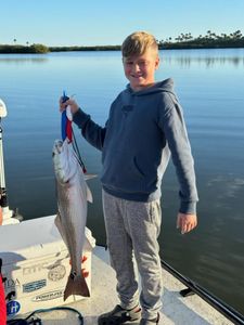 Redfish caught by angler in Florida