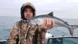 Chinook Salmon in Wisconsin