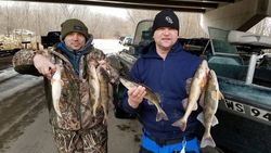 Walleye  in Wisconsin
