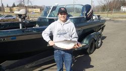 Chinook Salmon in Wisconsin