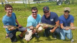 Walleye in Wisconsin